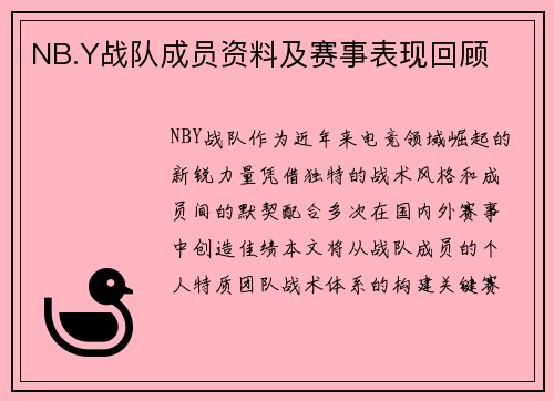 NB.Y战队成员资料及赛事表现回顾